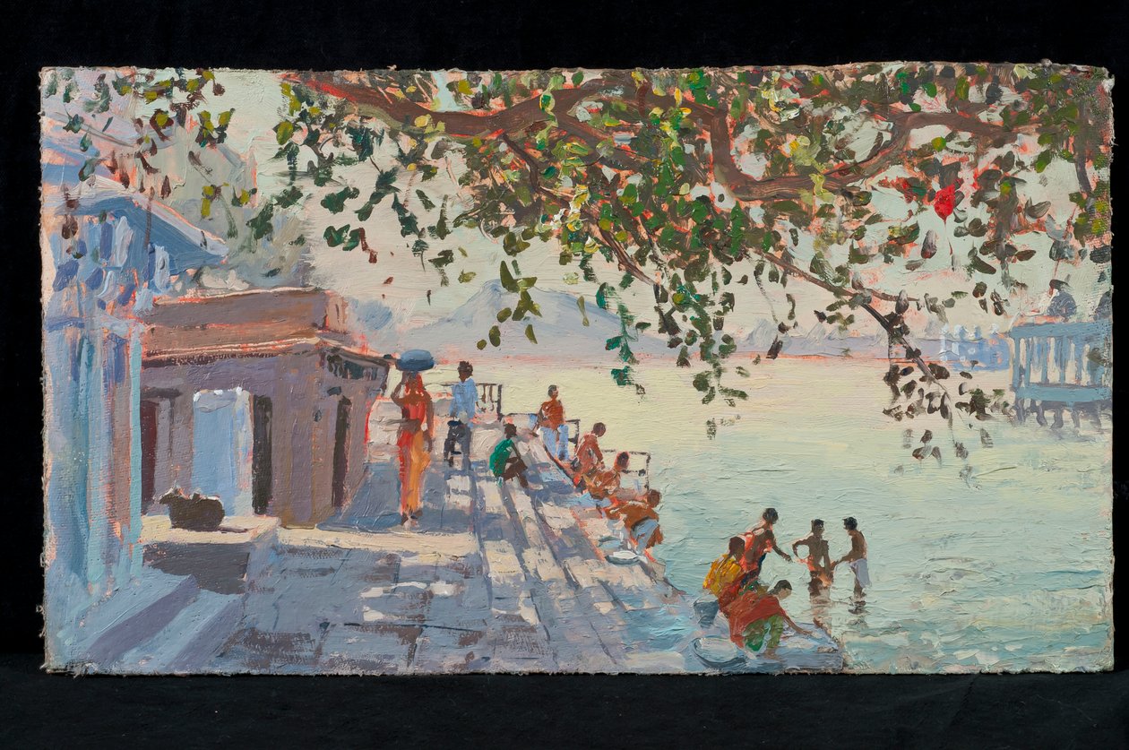 Baigneurs, Udaipur - Tim Scott Bolton