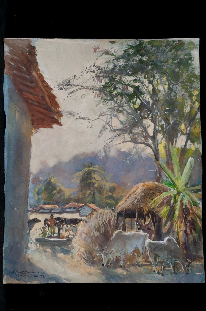 Village de Kawardha avec des vaches, 2013 - Tim Scott Bolton