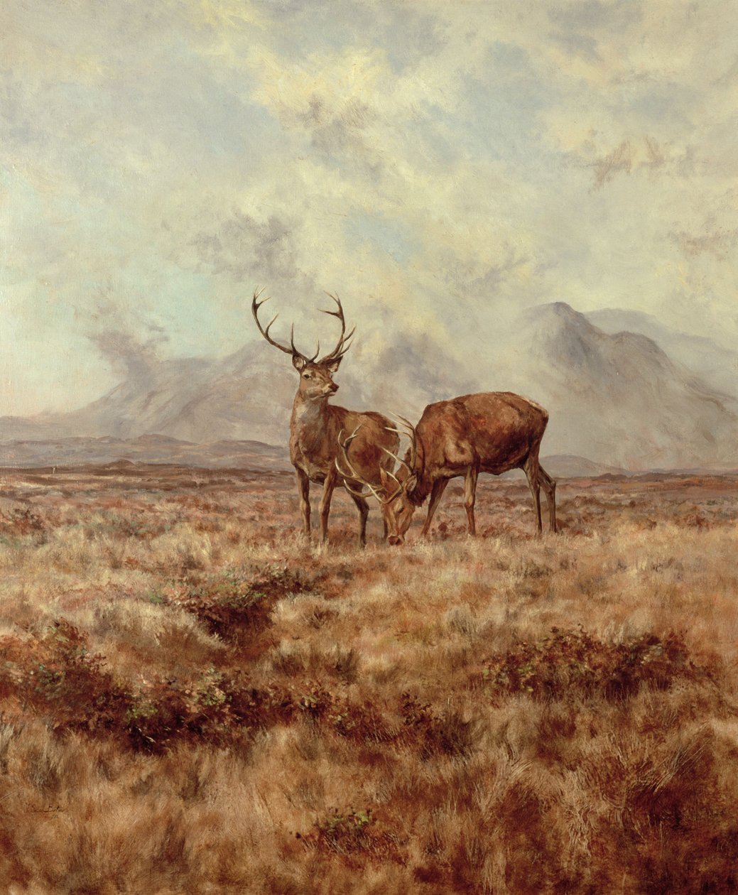 Cerfs rouges, Ben Buie, 1982 - Tim Scott Bolton