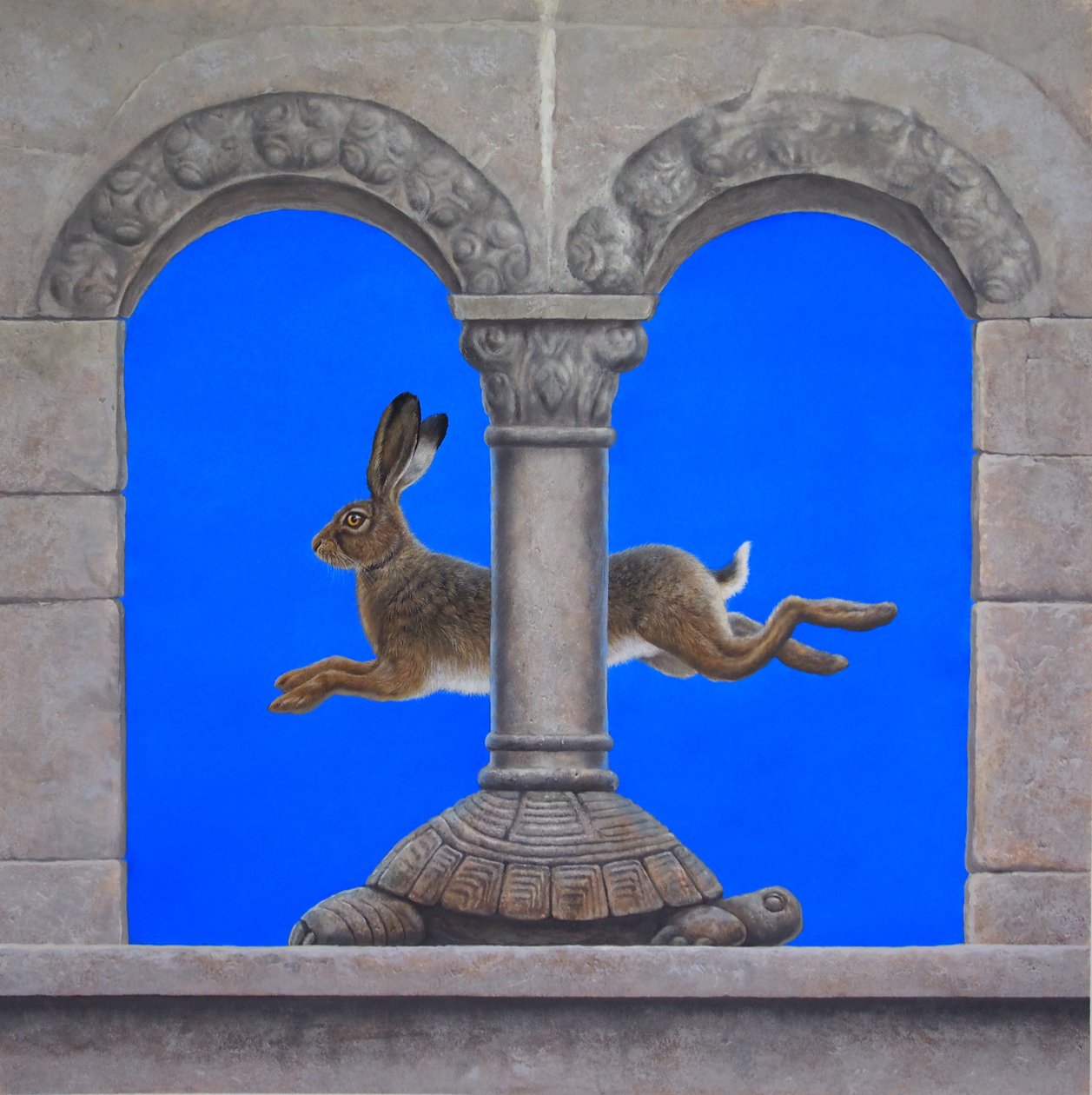 Le Lièvre et la Tortue - Tim Hayward