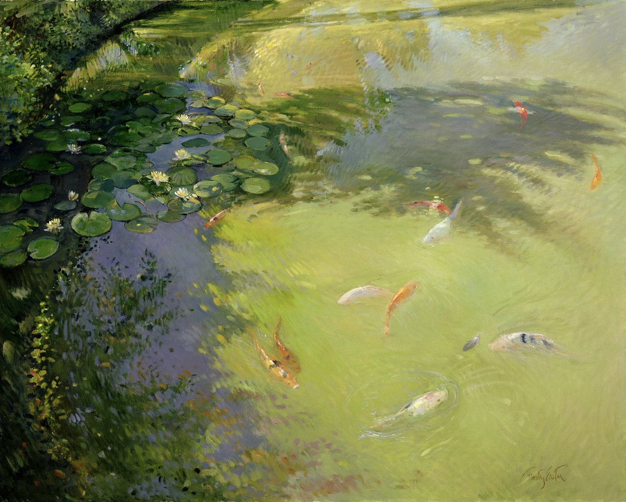 Jeu de plumes - Timothy Easton