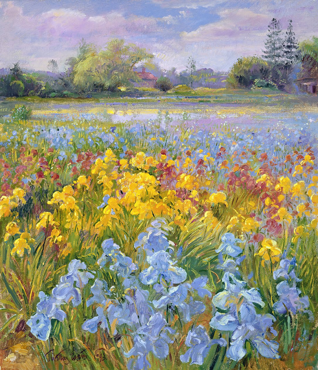 Iris, saule et sapin, 1993 - Timothy Easton