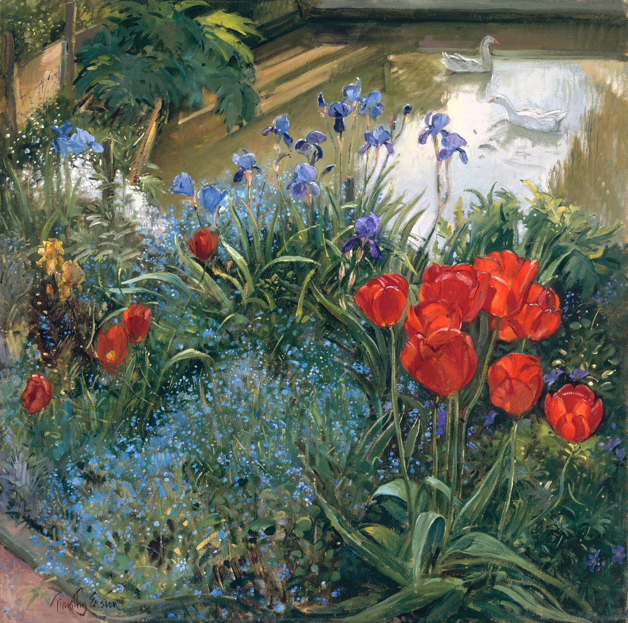 Tulipes Rouges et Oies - Timothy Easton