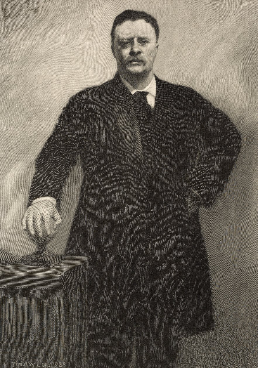 Theodore Roosevelt - Timothy Cole