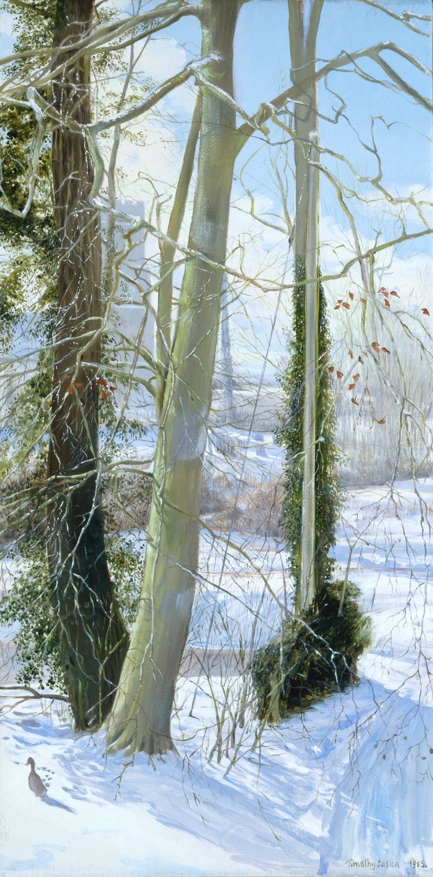 Trois arbres en hiver - Timothy Easton