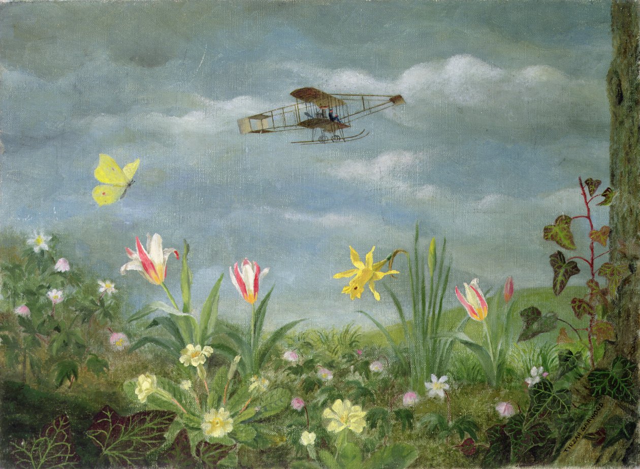 Le Printemps du vol - Tirzah Ravilious