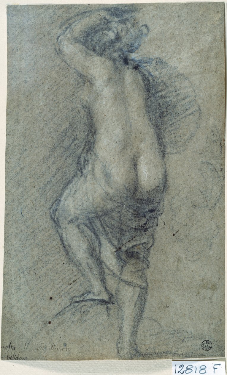 Femme nue - Titian (c.1488 1576)