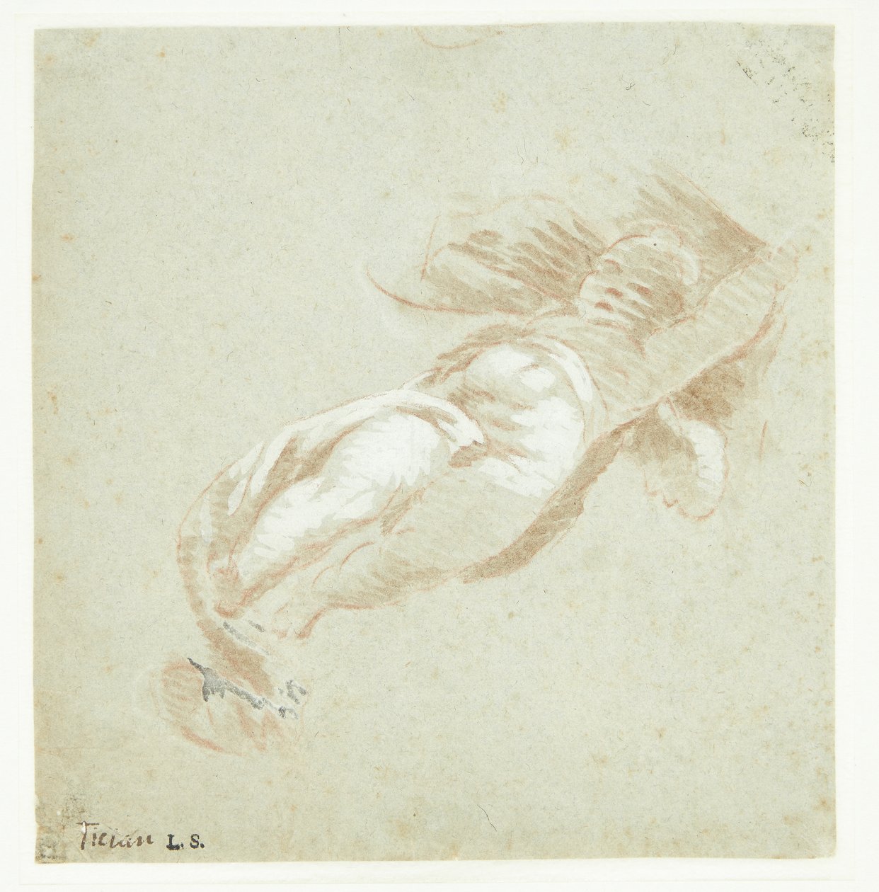 Putto volant - Tizian