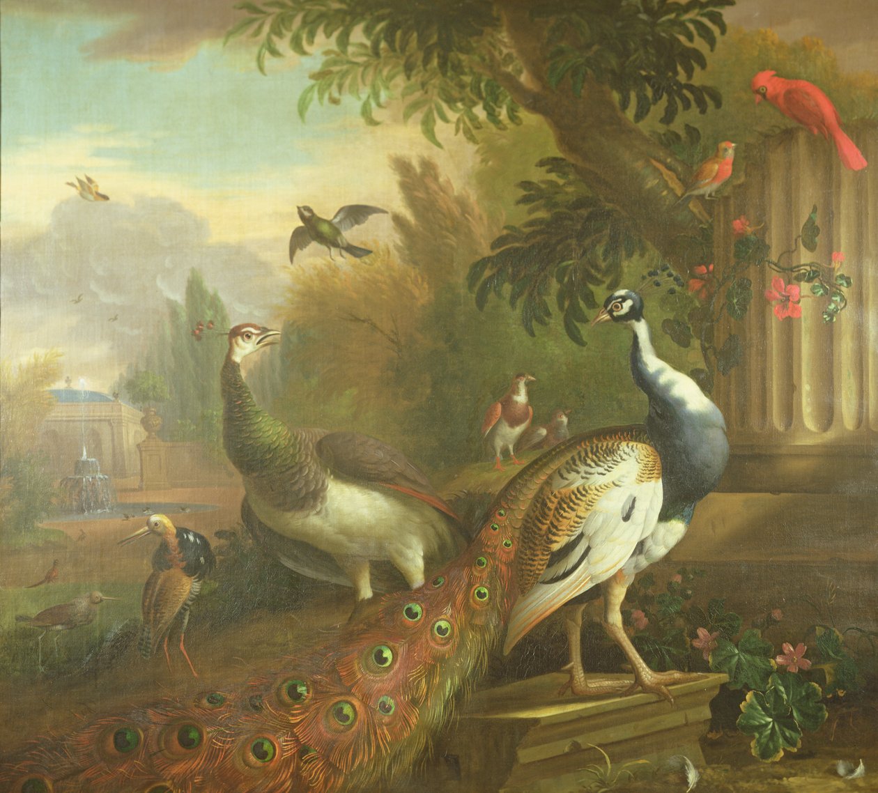 Paon et paonne avec un cardinal rouge dans un paysage classique - Tobias Stranover