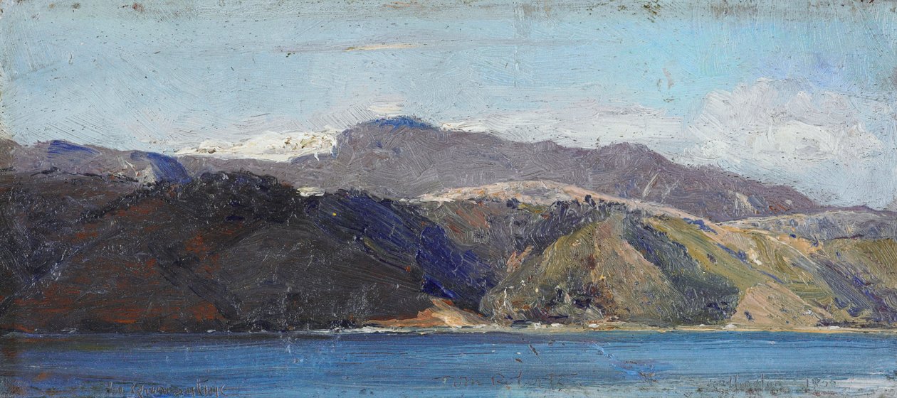En quarantaine, Wellington - Tom Roberts