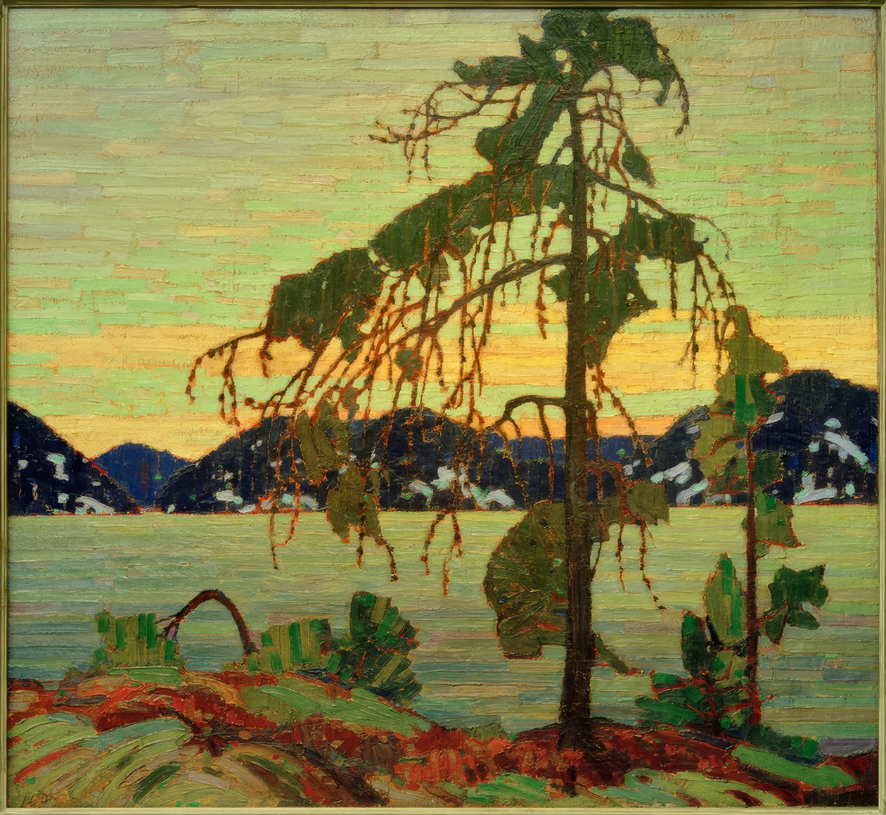 Le Pin gris - Tom Thomson