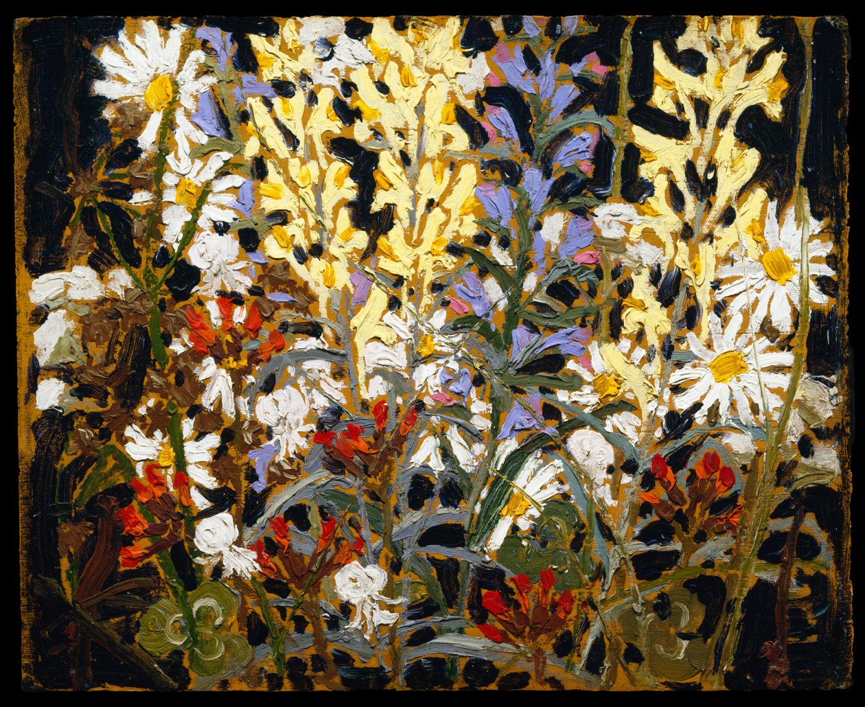 Fleurs sauvages - Tom Thomson