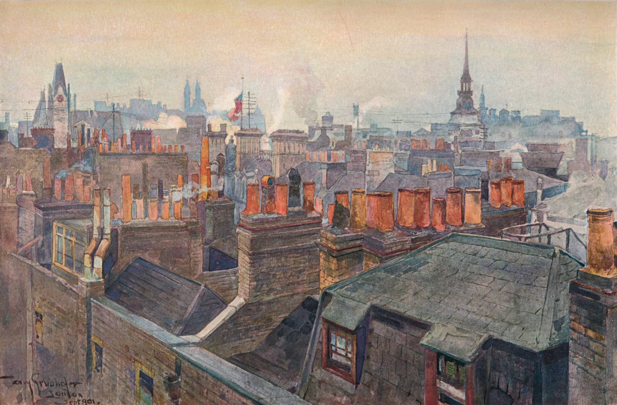 Toits de Londres - Tony Grubhofer
