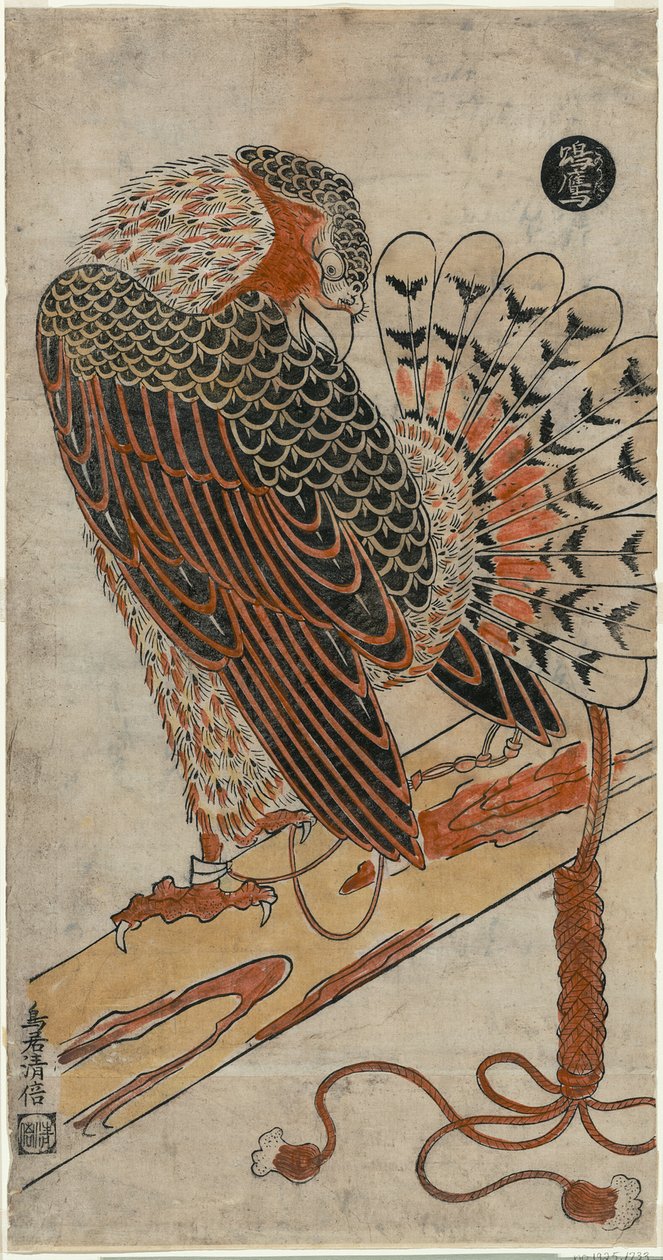Épervier (Konori taka) - Torii Kiyomasu I