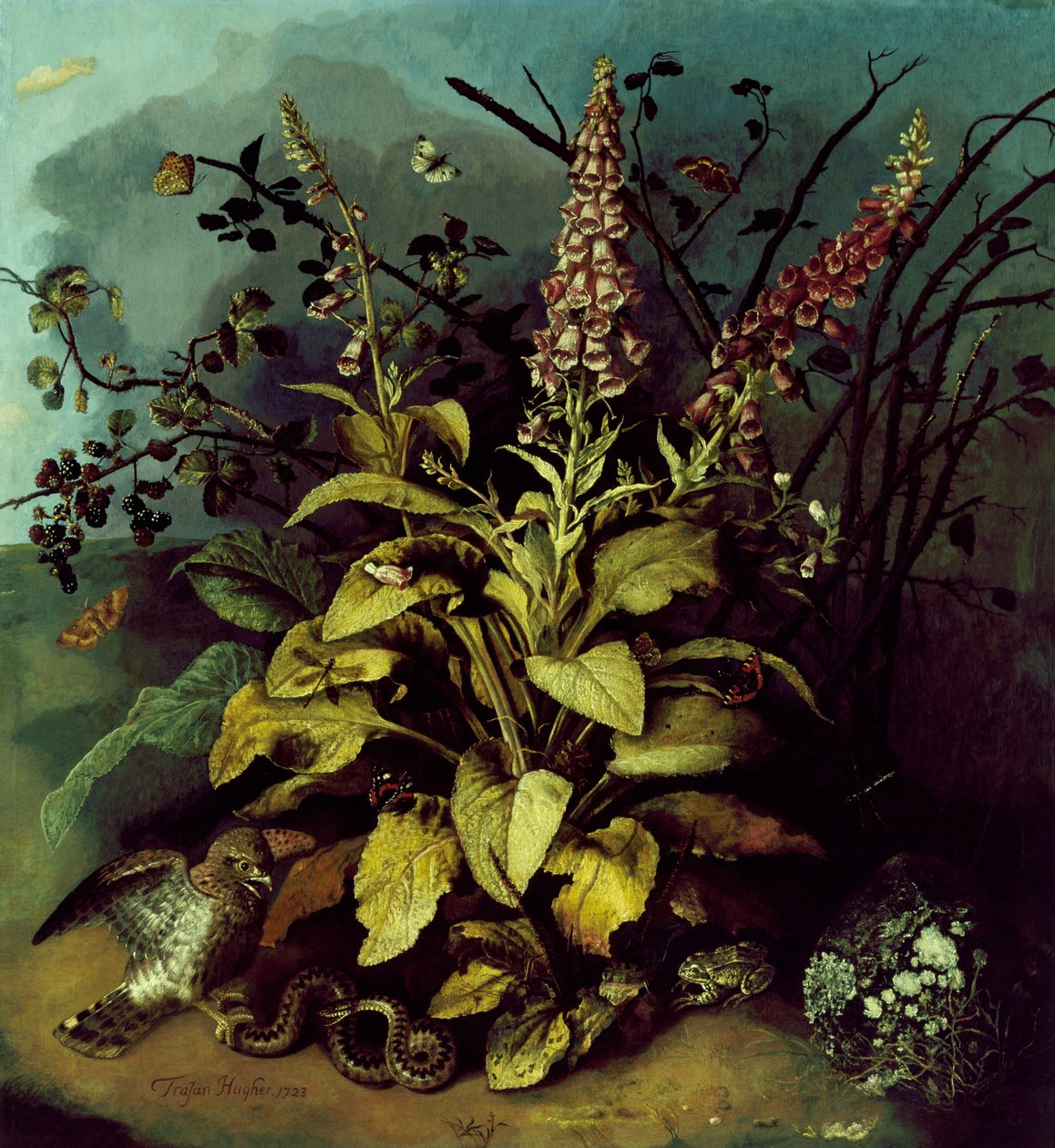 Nature morte - Trajan Hughes