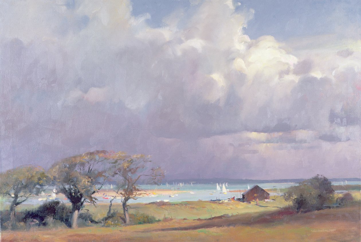 Tempête menaçante dans le Solent, 1989 - Trevor Chamberlain