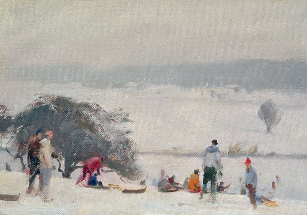 Luge, The Meads, Hertford - Trevor Chamberlain