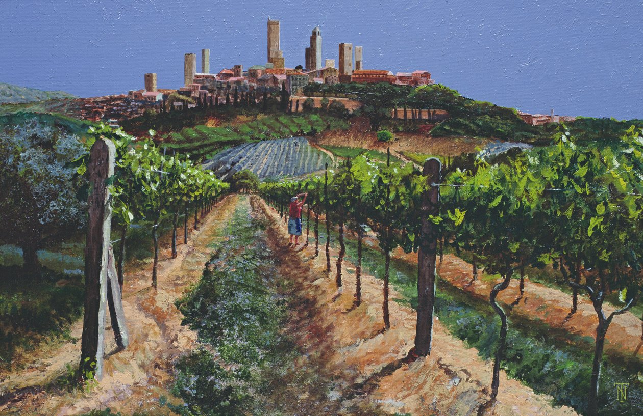 Vignes, San Gimignano, Toscane, 1998 - Trevor Neal