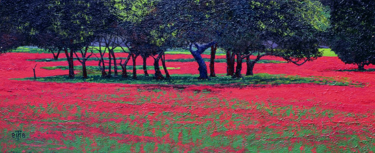 Choc rouge, 1999 - Trevor Neal