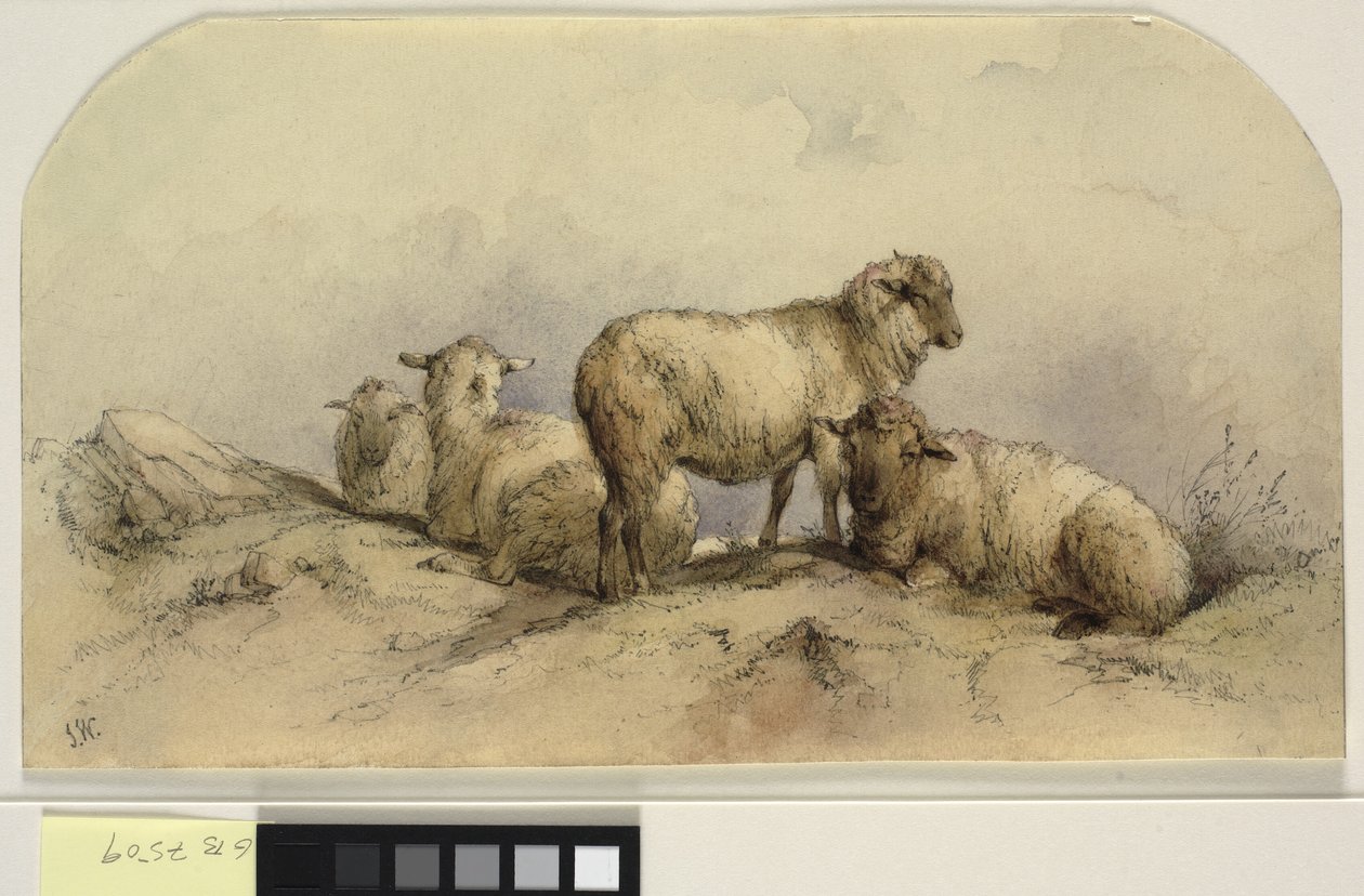 Moutons dans un paysage - Ubekendt KKSgb7508 KKSgb7512