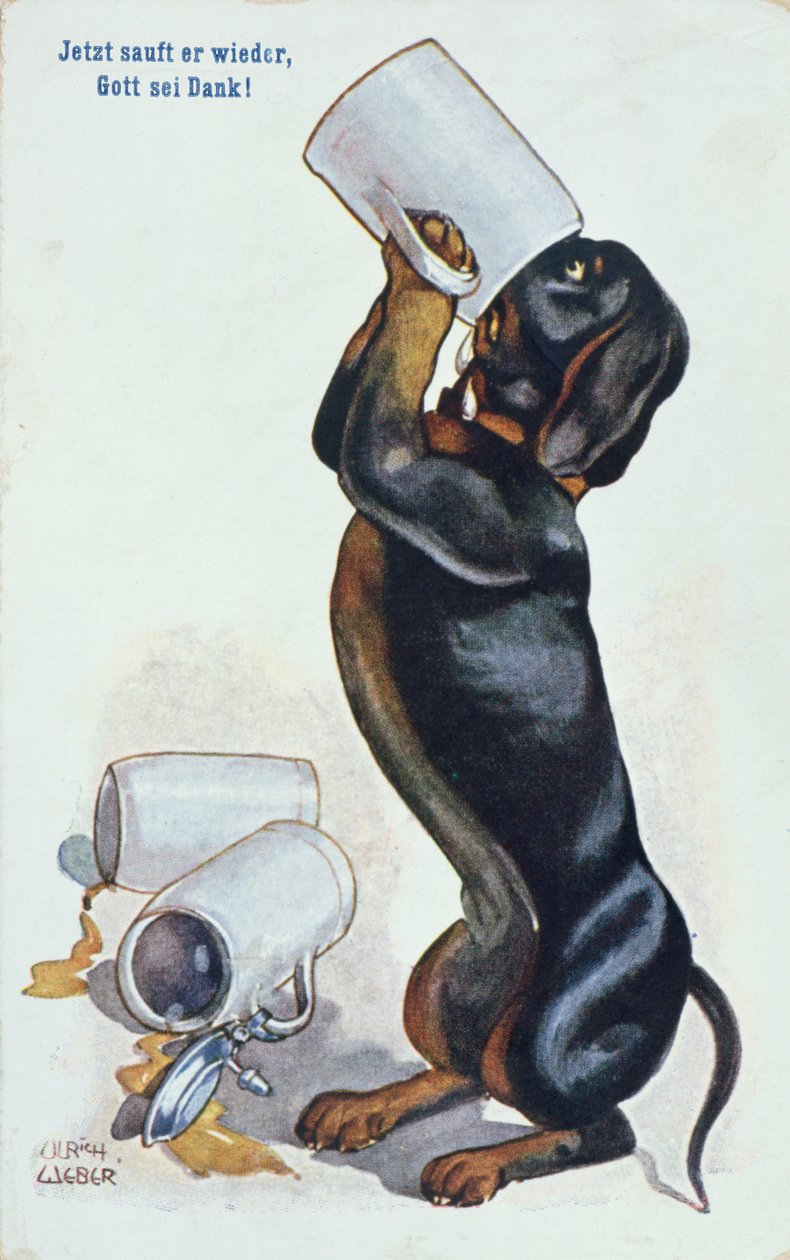 Un teckel buvant de la bière, c.1900 - Ulrich Weber