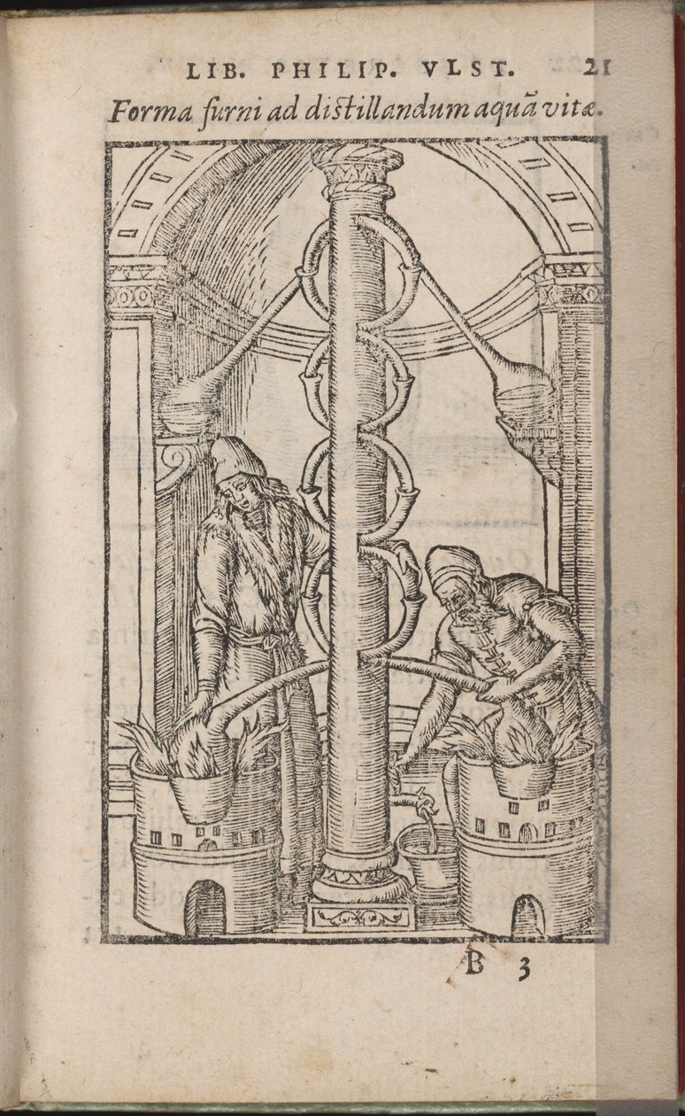 Appareil alchimique De: Liber de secretis naturae, 1556-1557 - Ulstadius