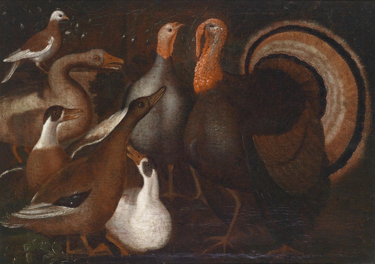 Chérubins, Canards et une Colombe - Unbekannt Unbekannt