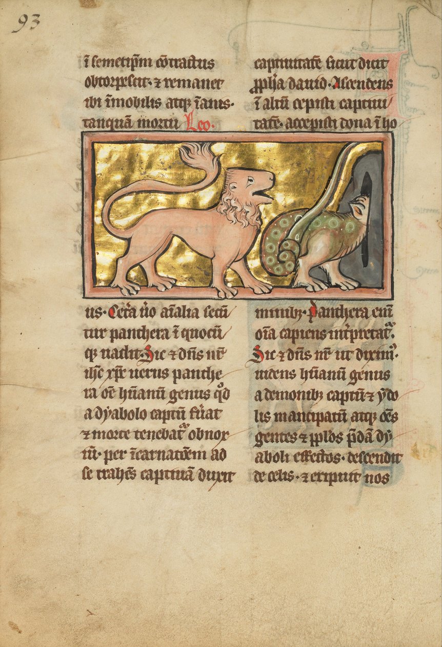 Un lion et un dragon ailé - Unbekannt Unbekannt