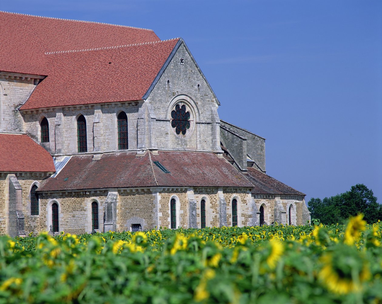 Abbaye de Pontigny - Unbekannt Unbekannt