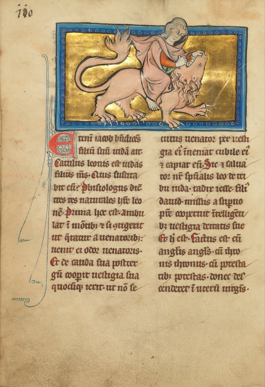 Samson combattant un lion - Unbekannt Unbekannt