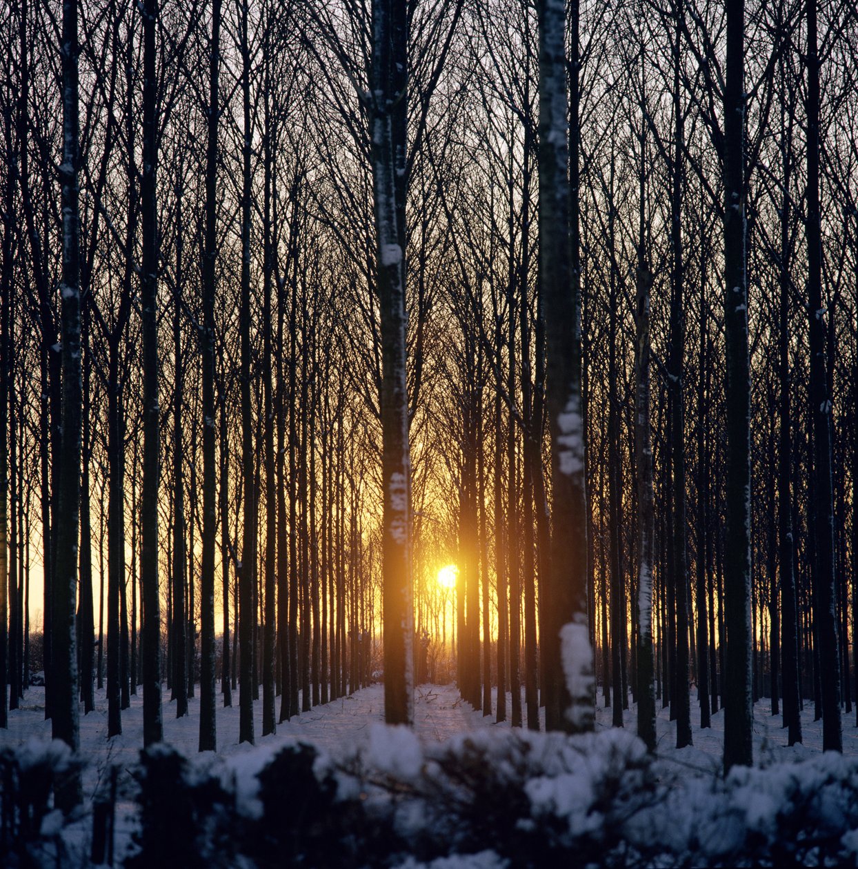 Coucher de soleil d