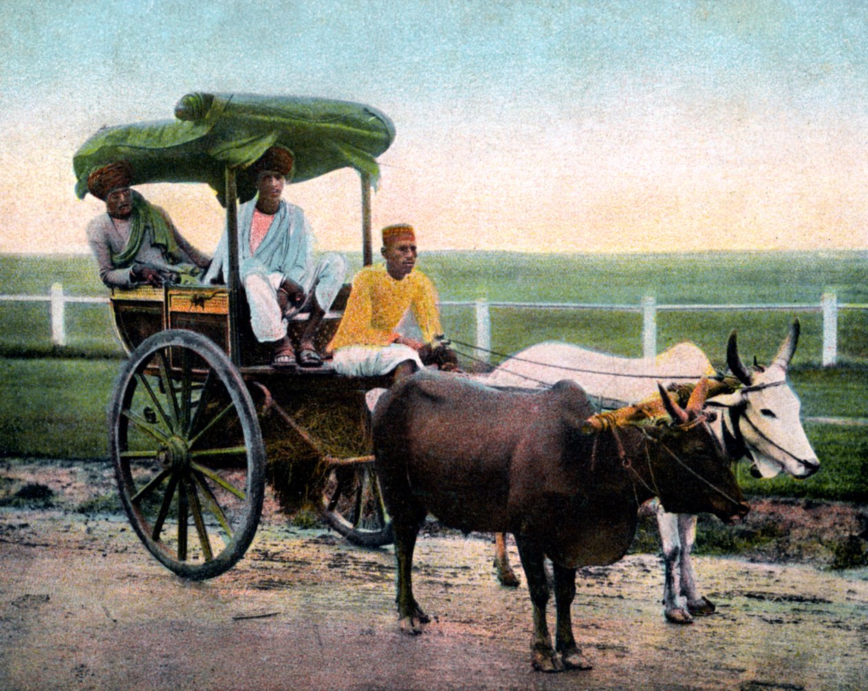 Un Bombay reckla, Inde, début 20ème siècle - Unbekannt
