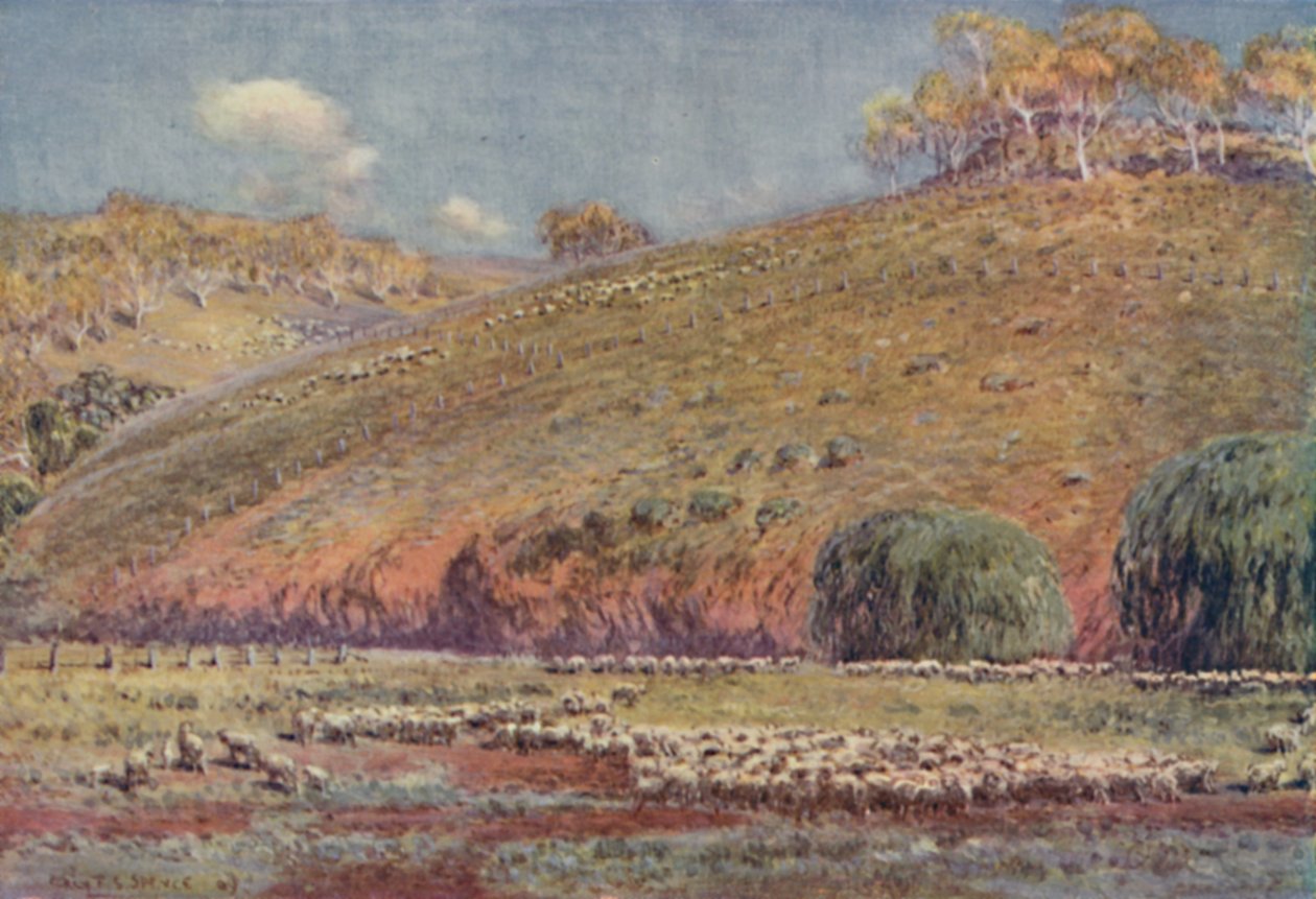 Un enclos à moutons - Unbekannt