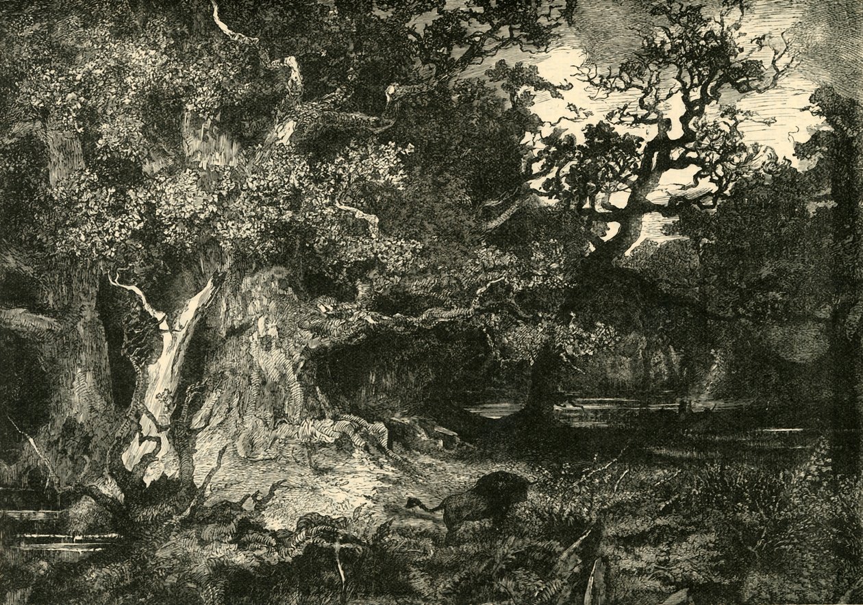 Une vieille forêt allemande, 1890 - Unbekannt