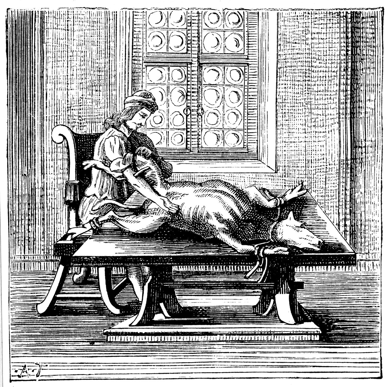 Transfusion de sang animal à humain, 1679 - Unbekannt