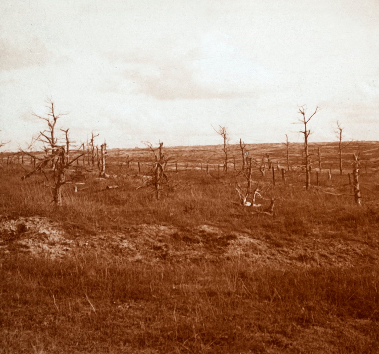 Champ de bataille, Tahure, nord de la France, vers 1914-1918 - Unbekannt