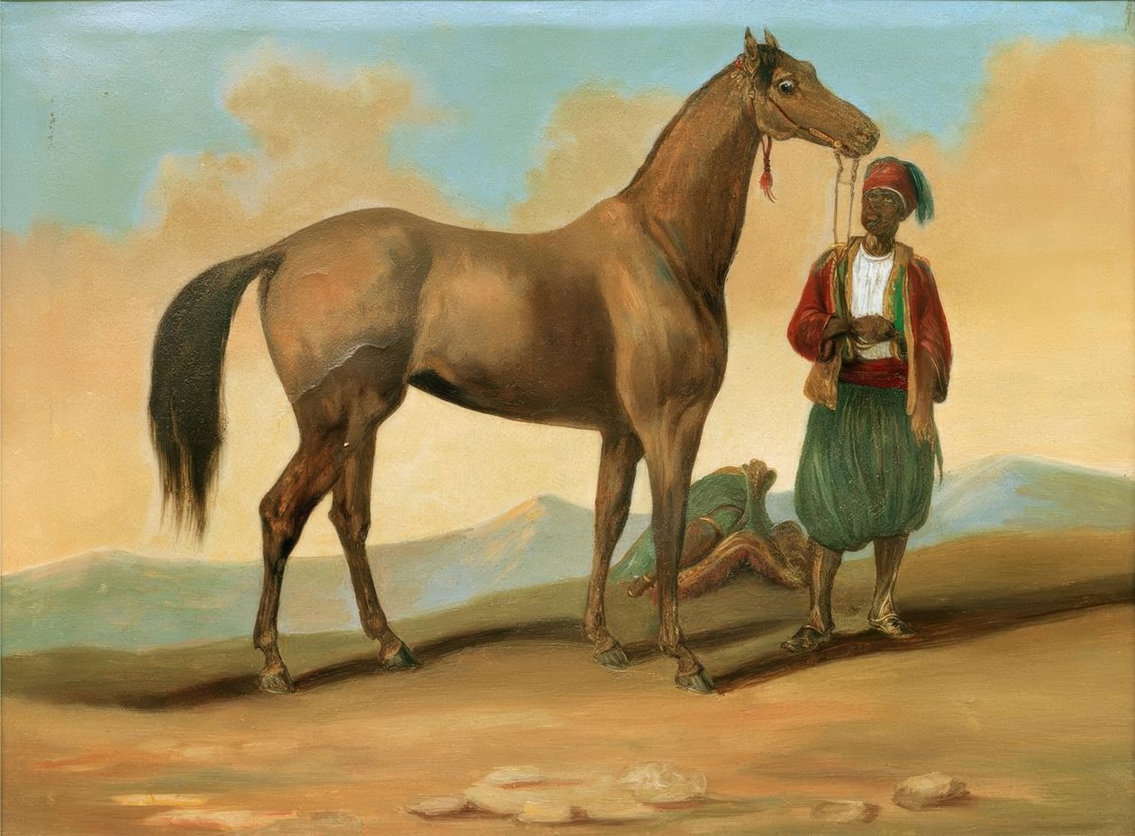 Bédouin avec cheval arabe - Unbekannt
