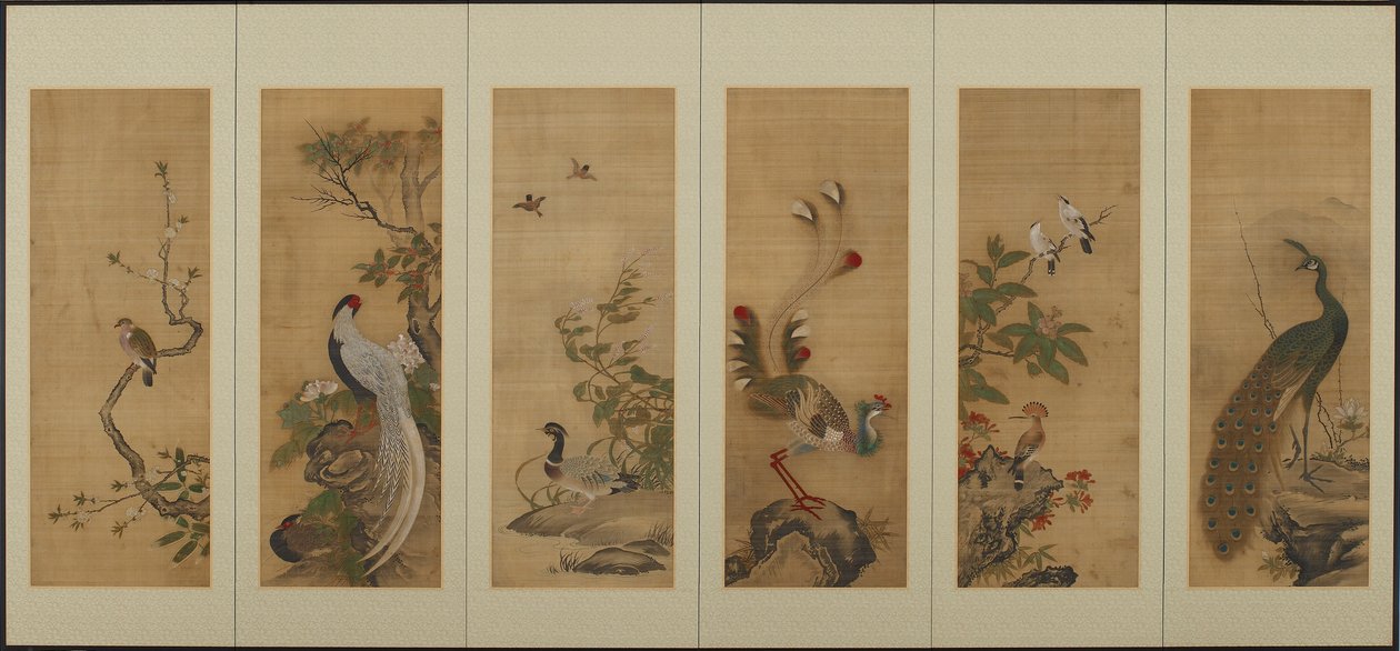 Oiseaux et fleurs, période Edo, 18ème siècle - Unbekannt