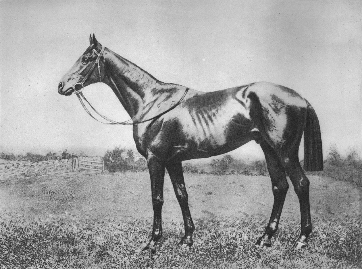 Flèche Noire, 1911 - Unbekannt
