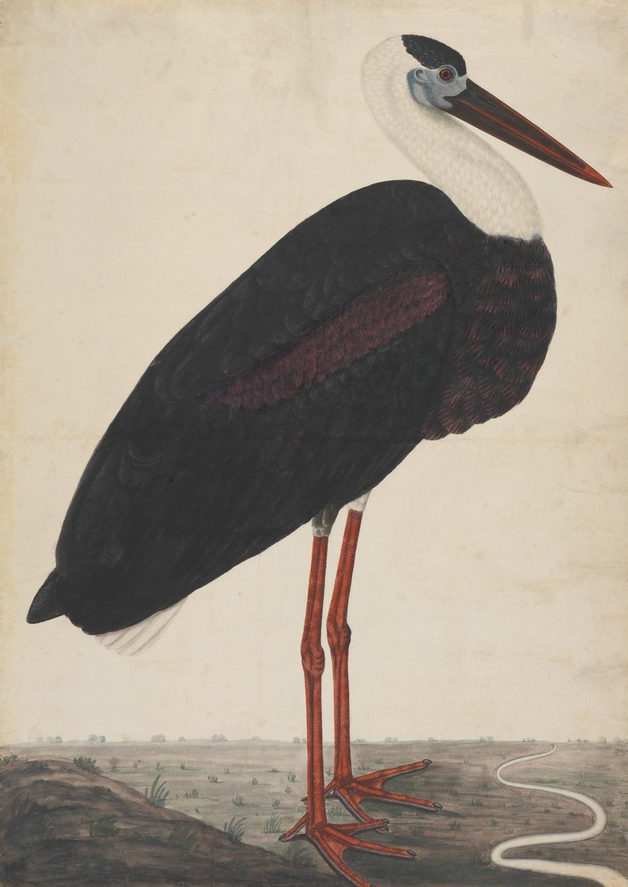 Cigogne noire dans un paysage, vers 1780 - Unbekannt