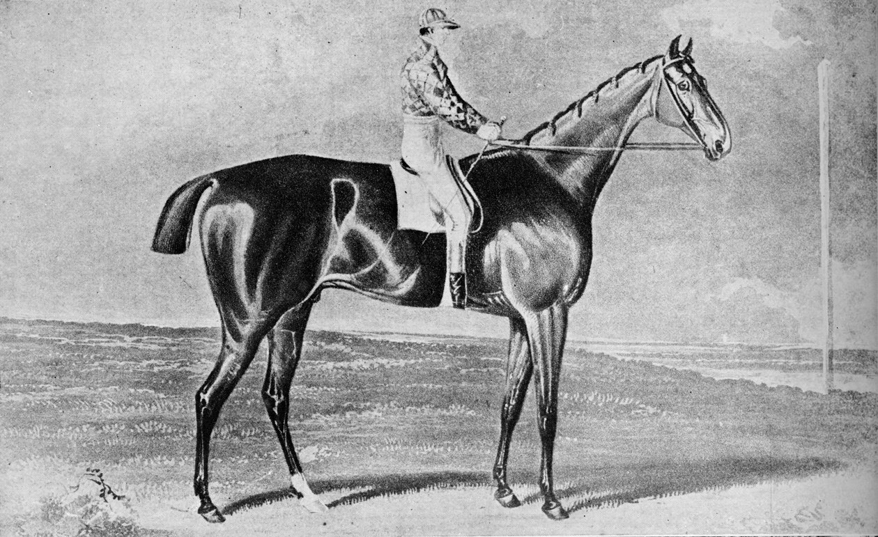 Blacklock, 1814-1831, 1911 - Unbekannt