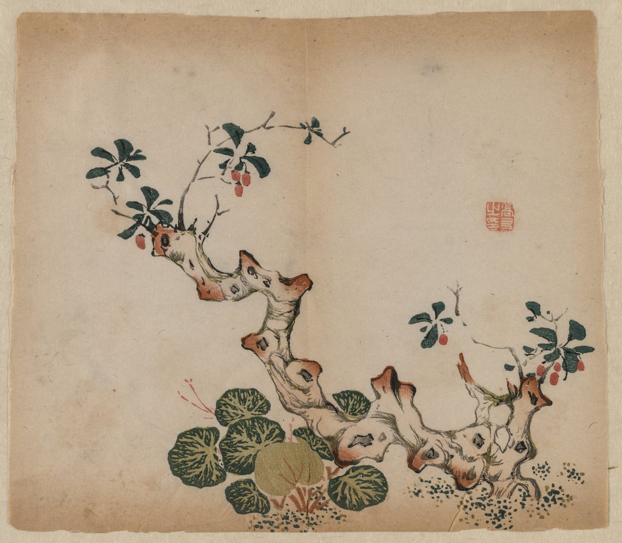 Souche ramifiée, 1368-1644 - Unbekannt