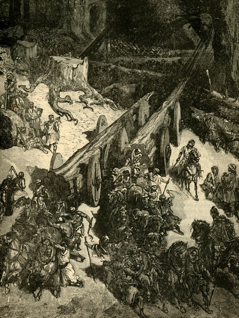 Apportant du cèdre du Liban, 1890 - Unbekannt