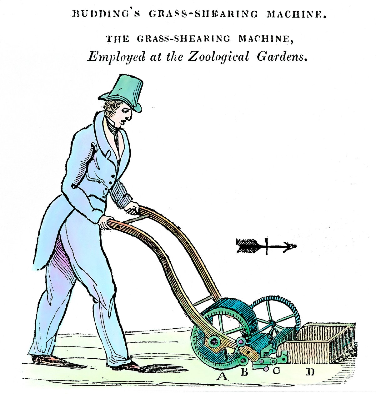 Machine à tondre l