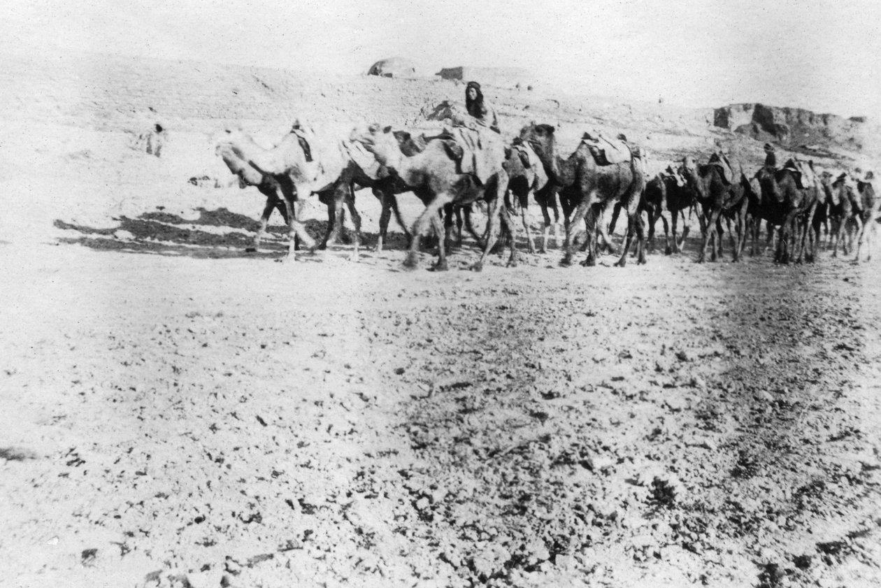 Caravane de chameaux, Mossoul, Mésopotamie - Unbekannt