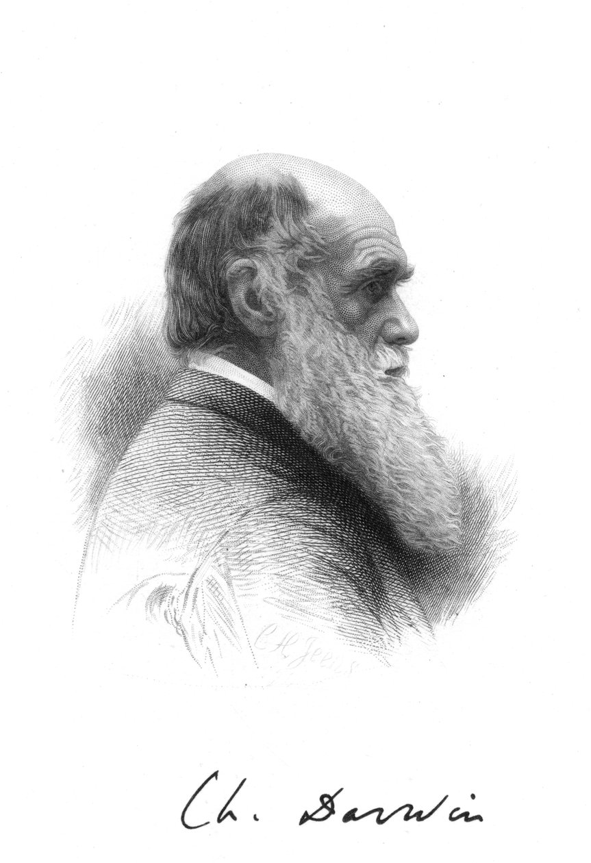 Charles Darwin, naturaliste anglais, vers 1880 - Unbekannt