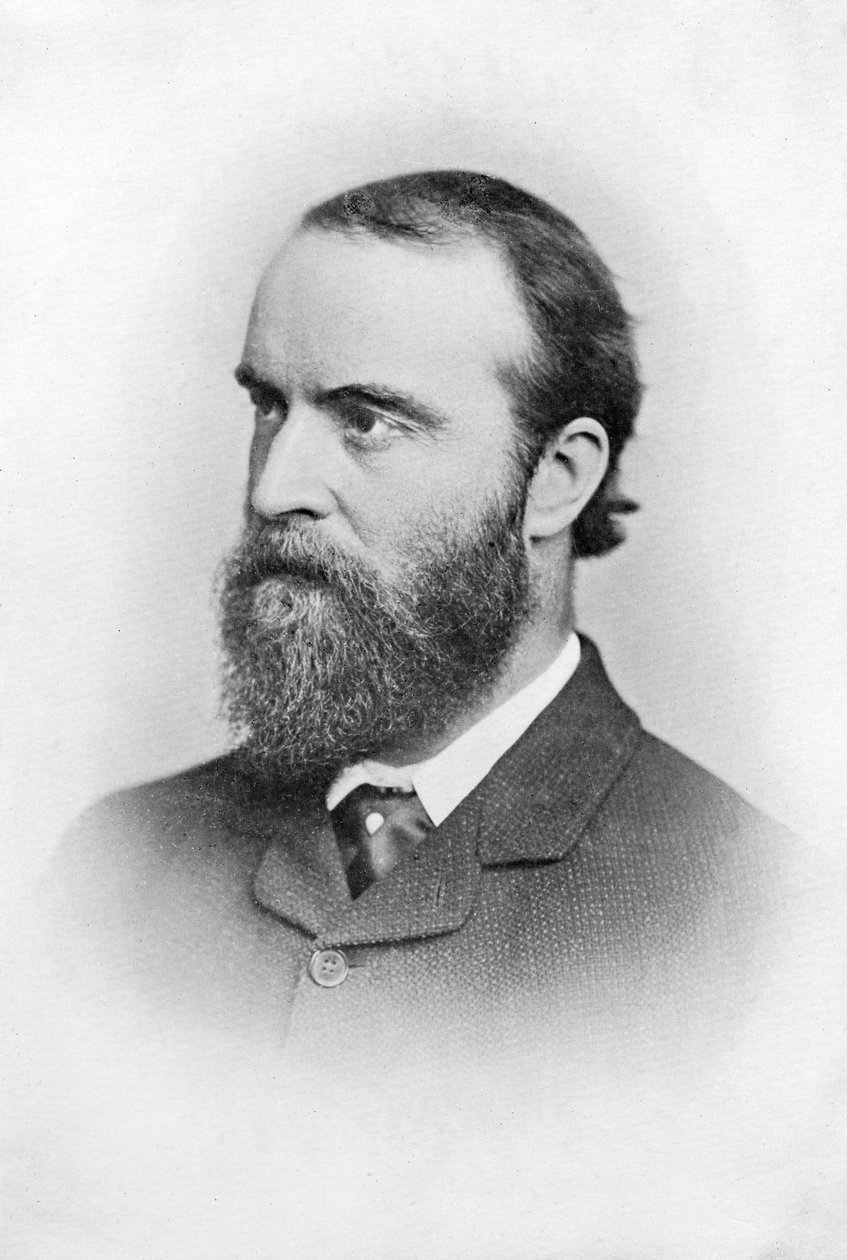 Charles Stuart Parnell, homme politique irlandais du 19ème siècle, vers 1874-1891 - Unbekannt