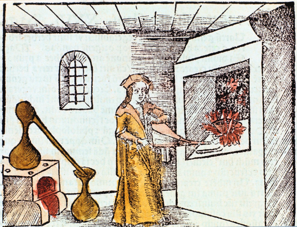 Chimiste, 1508 - Unbekannt