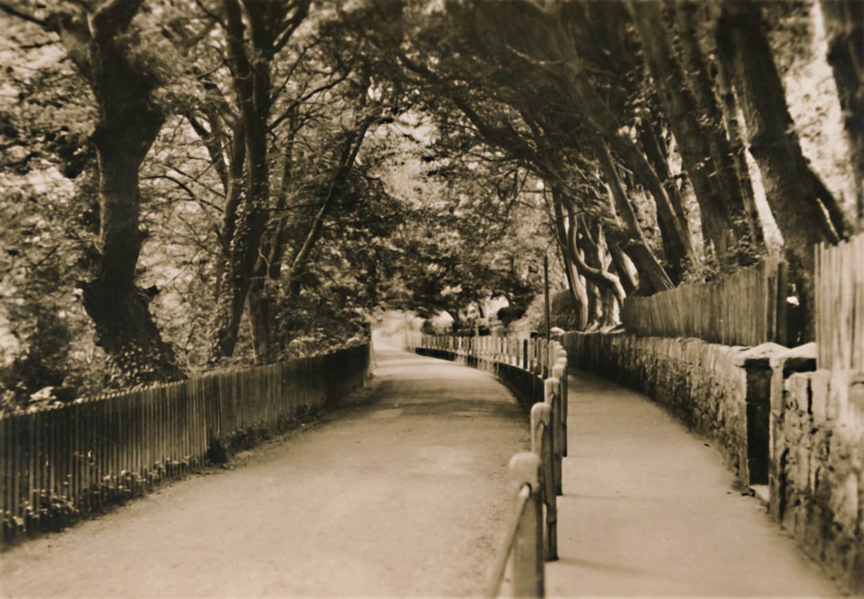 Avenue de Chine, Shanklin, I.W., vers 1920 - Unbekannt