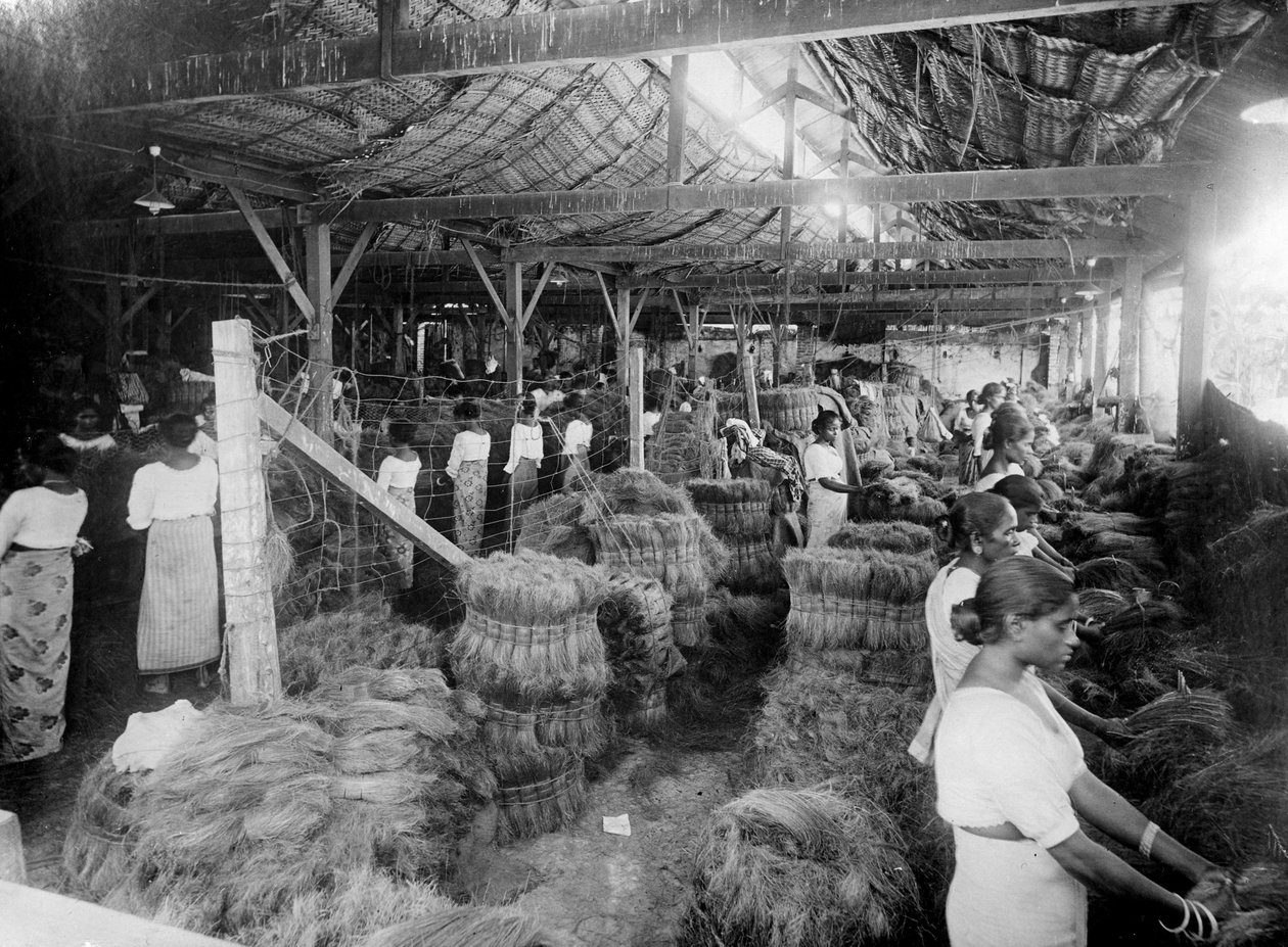 Production de noix de coco, Inde, 20ème siècle - Unbekannt